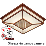 lámpara de techo cámara de infrarrojos